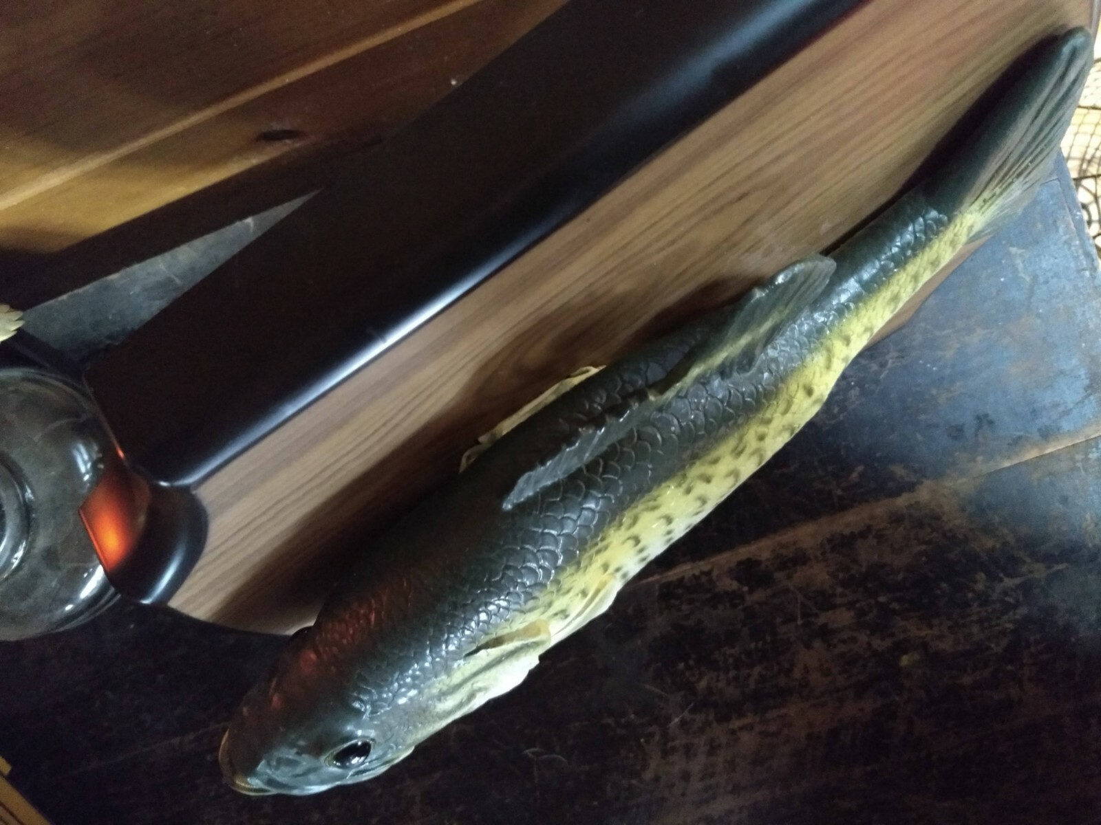 Billy Bass Motion Activated Fish Sings/DANCES PERFECT FREE SHIPPING & BATTERIES