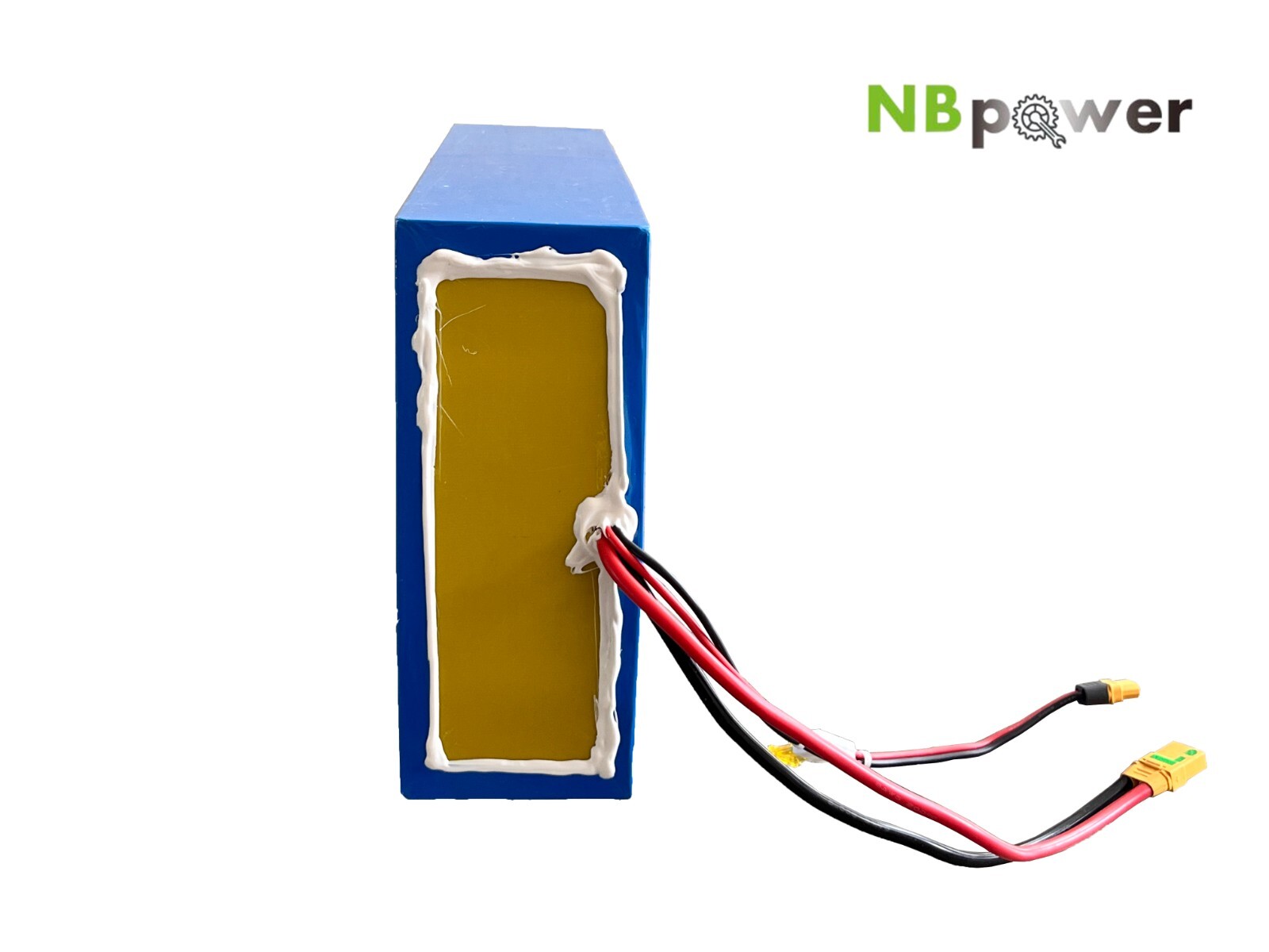 Tesla cells 72V 24ah ANT 60A BMS Battery with 84V 5A charger,battery bag.