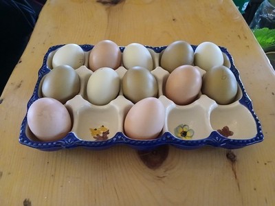 Foto dell'oggetto di un acquirente verificato