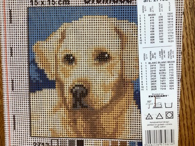 Orchidea needlepoint canvas ''Labrador Retriever ''  #2113D   6'' X  6'' + yarn