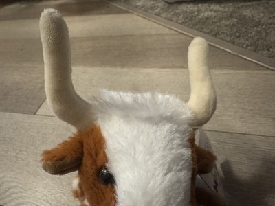 Objectfoto('s) van geverifieerde koper