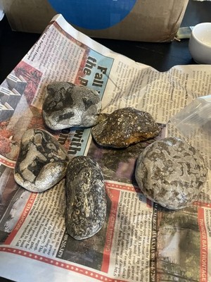 Fotos del artículo de un comprador verificado