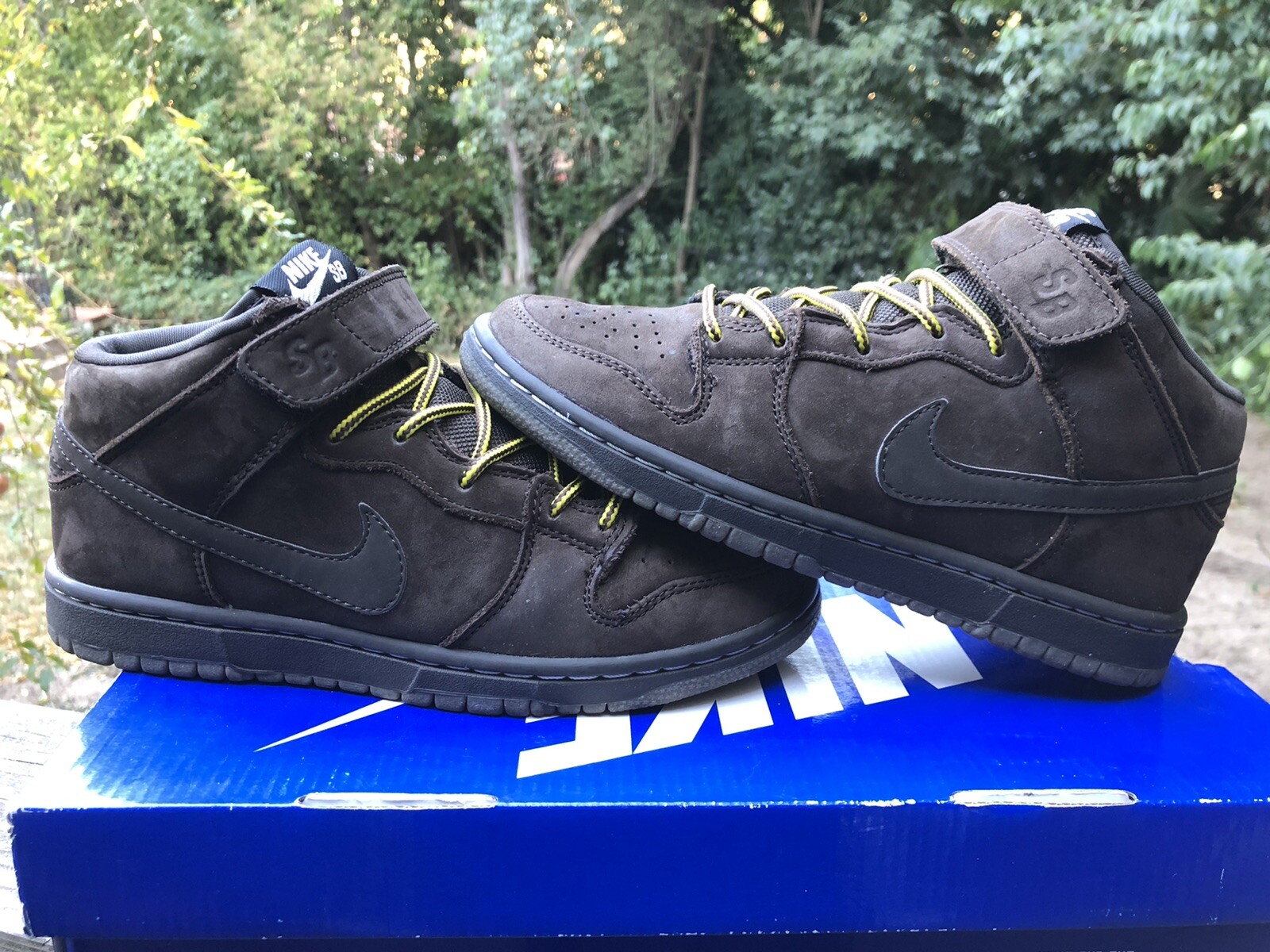 nike dunks size 5.5