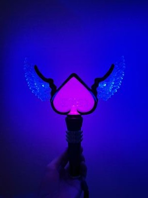 2NE1 2012 NEW EVOLUTION 公式 ペンライト 2NE1 Official Pen Light Pink in 2012 1st Global Tour NEW