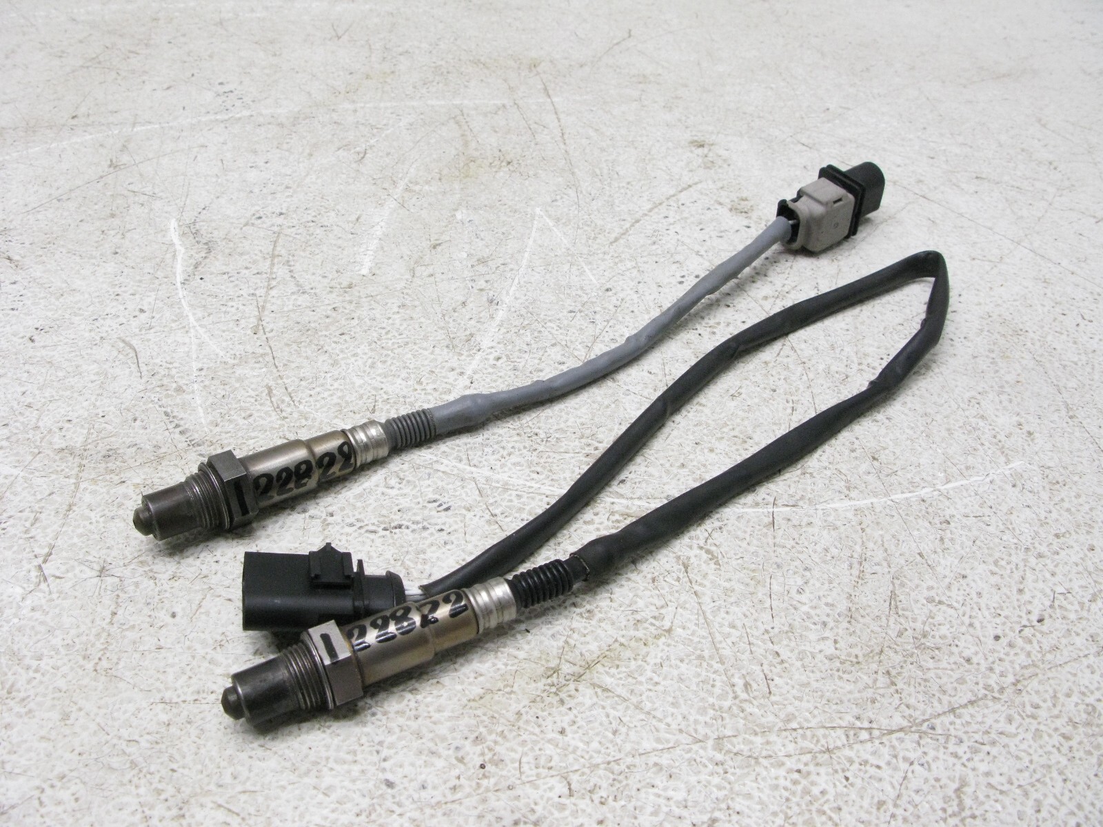 A.Yページ $_57.JPG?set_id=880000500F