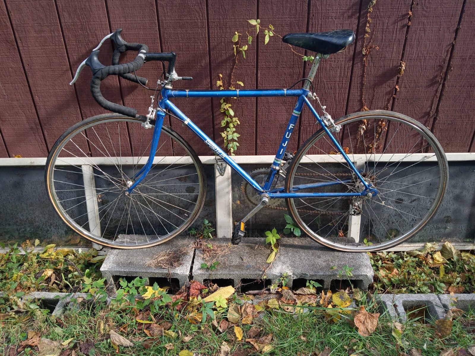 Fuji Touring 54 フレーム＆フォーク Fuji Touring Bicycle Review – Bicycle Touring Pro