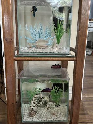 經驗證買家提供的物品圖片