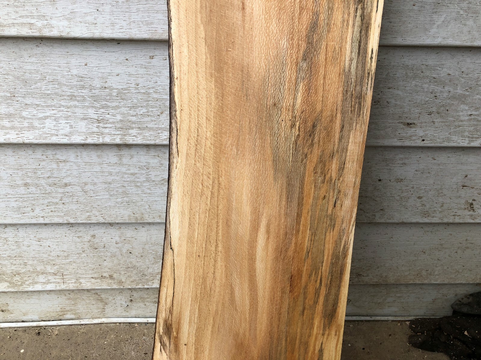 Quartersawn Natural Edge one side Sycamore slab