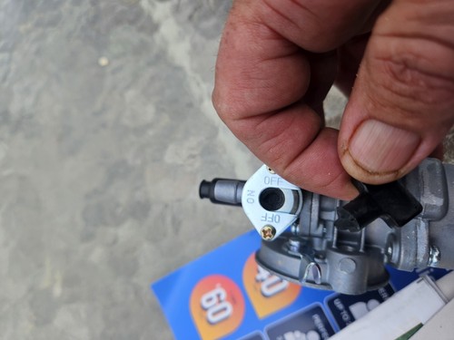 Fotos del artículo de un comprador verificado