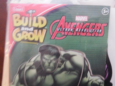 2016 Lowe's Build and Grow Avengers Hulk