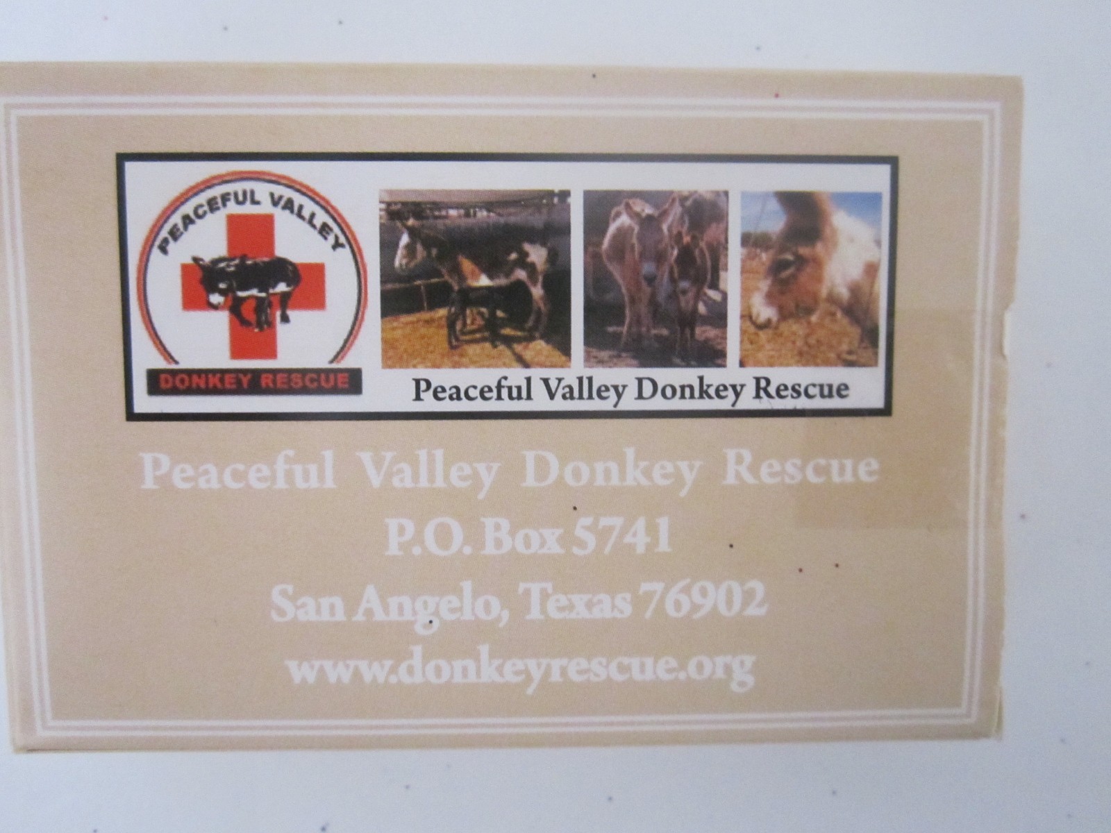 New Plastic COATED Donkey Playing Cards Boxed W/ Photo PEACEFUL VALLEY RESCUE