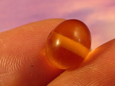 ONE ANTIQUE COGNAC COLOR ROUND  AUTHENTIC AMBER BEAD 10.5-8.7 MM WELL KEPT