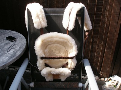 bill amberg baby carrier