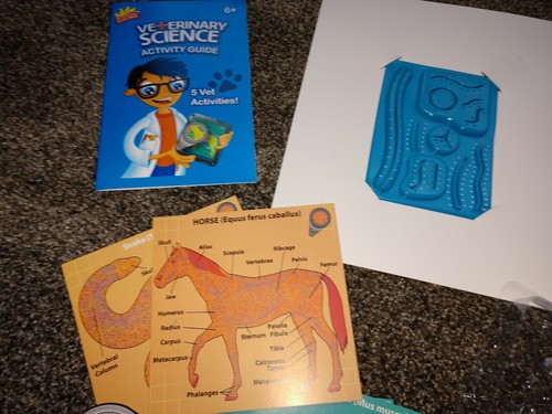 Scientific Explorer Veterinary Science