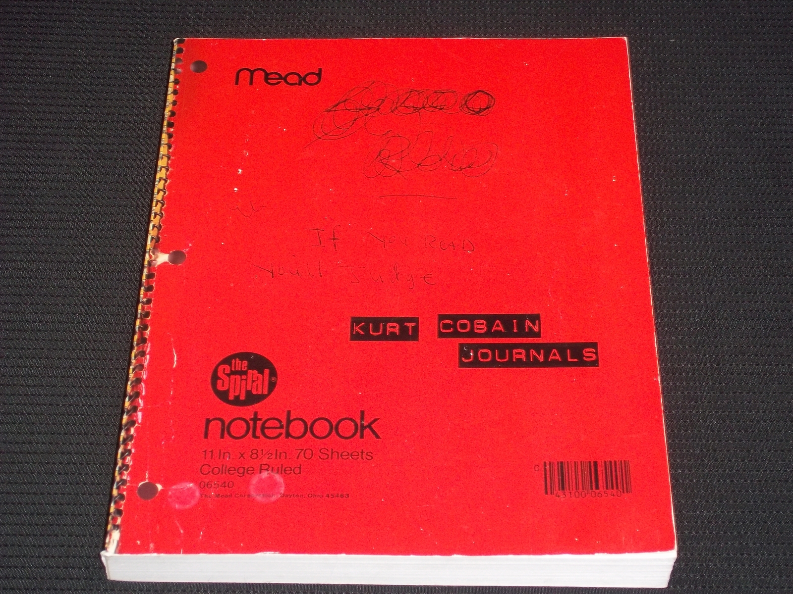 Kurt Cobain Journals & Nirvana DVDセット Journals: Cobain, Kurt: 9781573223591: Amazon.com: Books