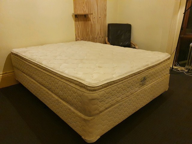sealy posture premier base