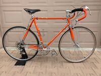 schwinn world tourist bike