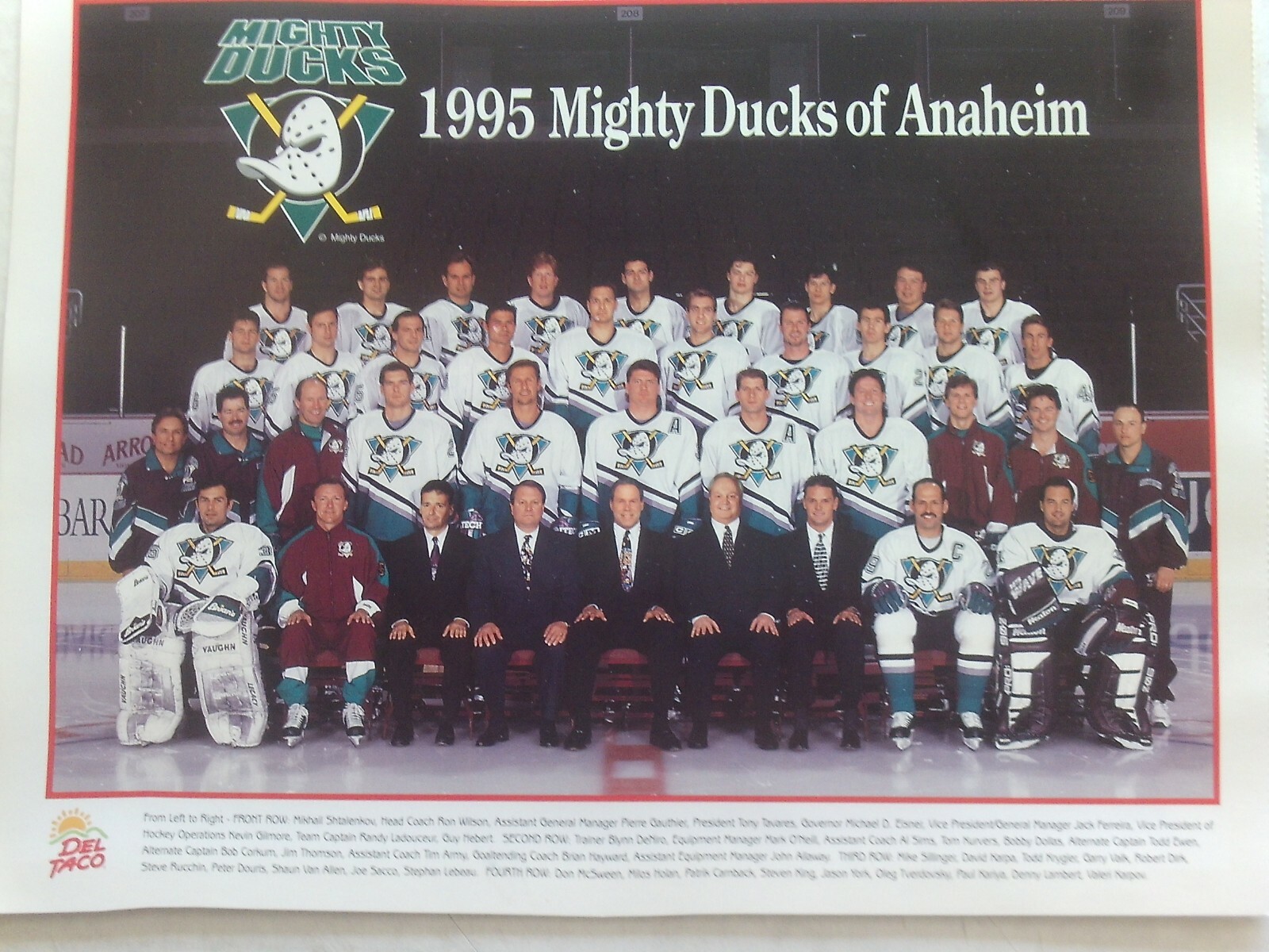 mighty ducks　プレート　マイティーダックス mighty ducks プレート マイティーダックス