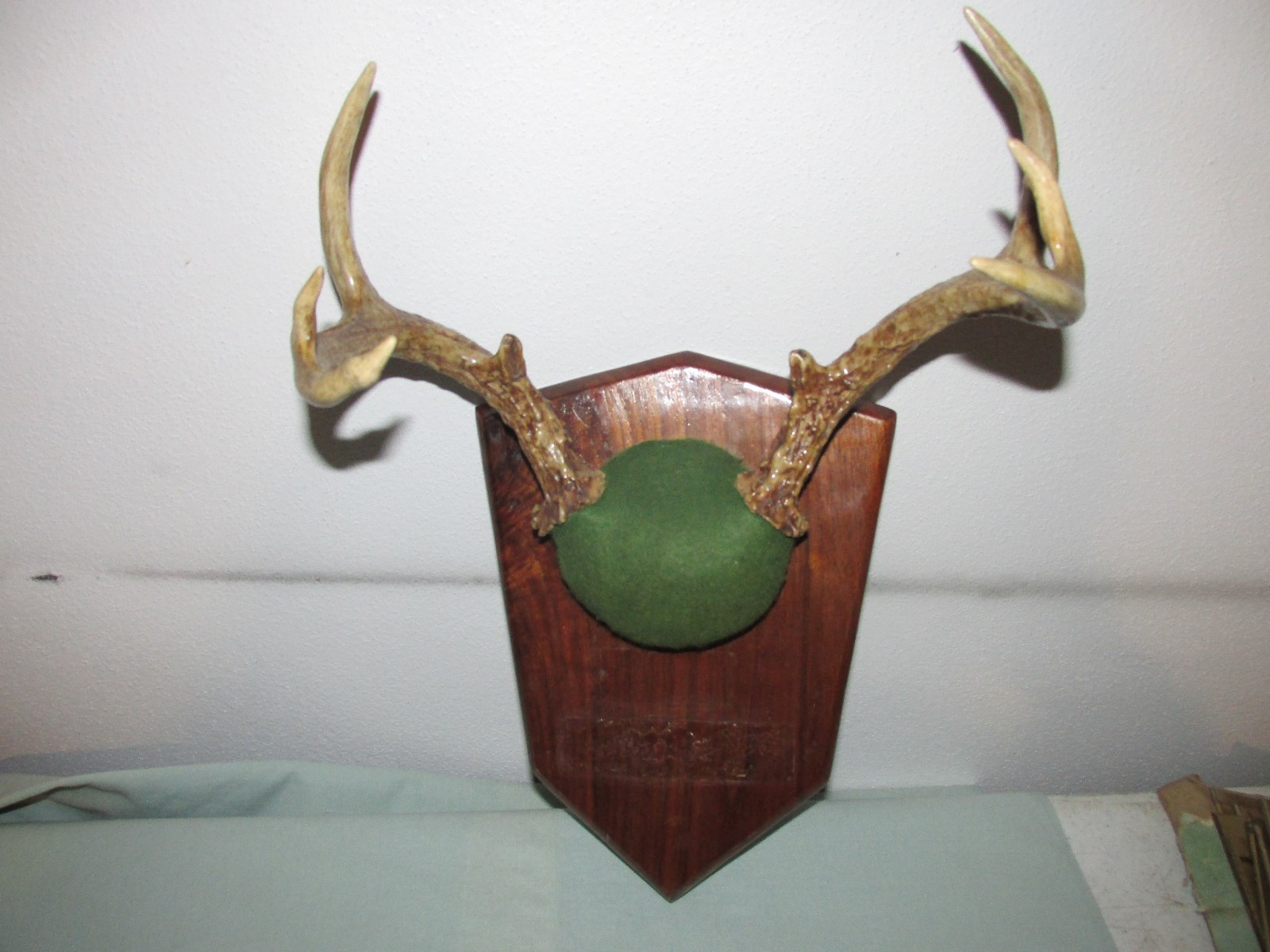 WHITETAIL ANTLER DEER MOUNT TAXIDERMY RACK 8 POINTER