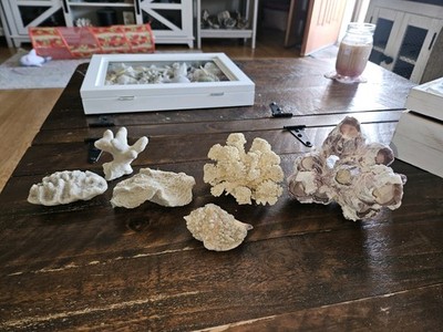 Photos de l'objet d'un acheteur vérifié