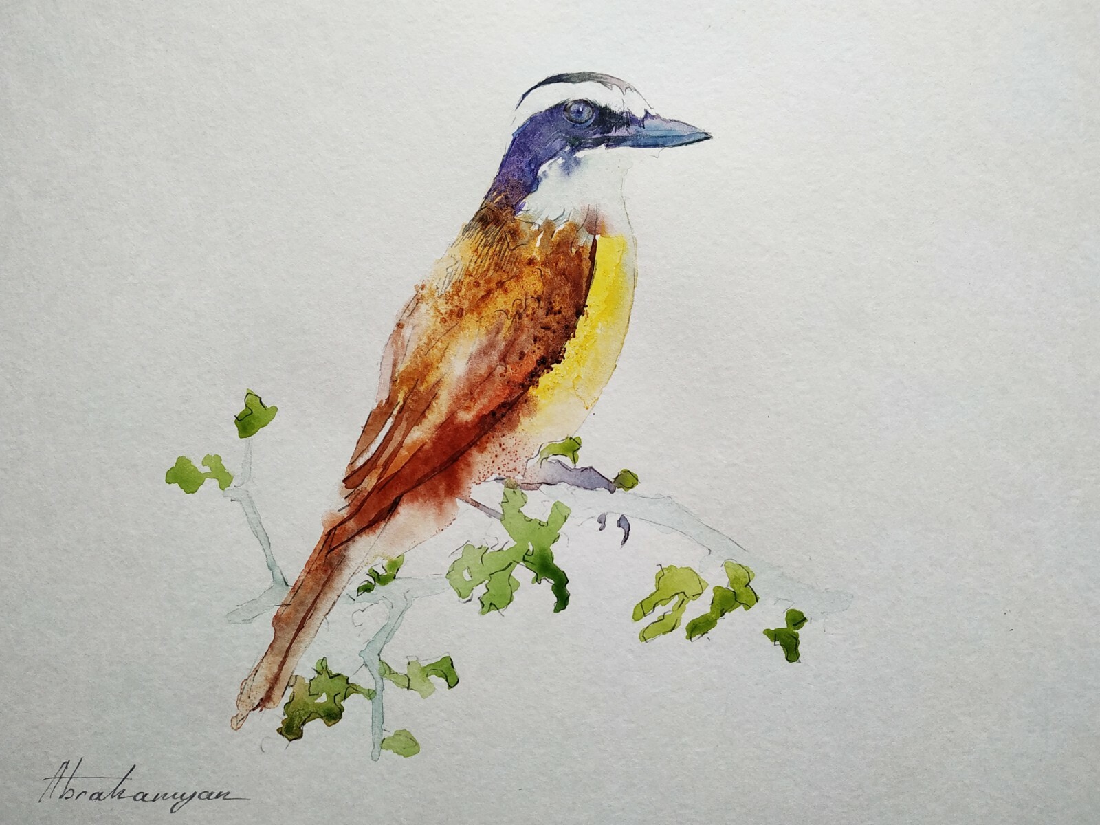 Emberizidae, Birds, Watercolor artwork, Handmade, Original painting on paper