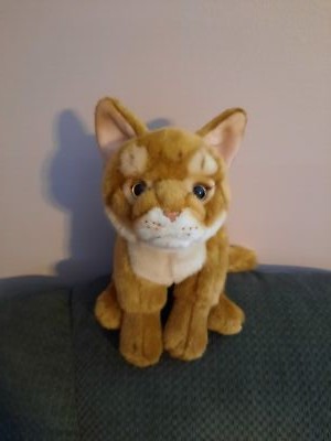 Foto dell'oggetto di un acquirente verificato