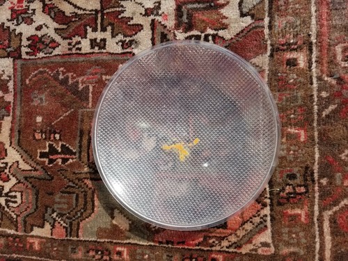 Glass Ceiling Light Shade Square Cover Art and round plastic cover Deco