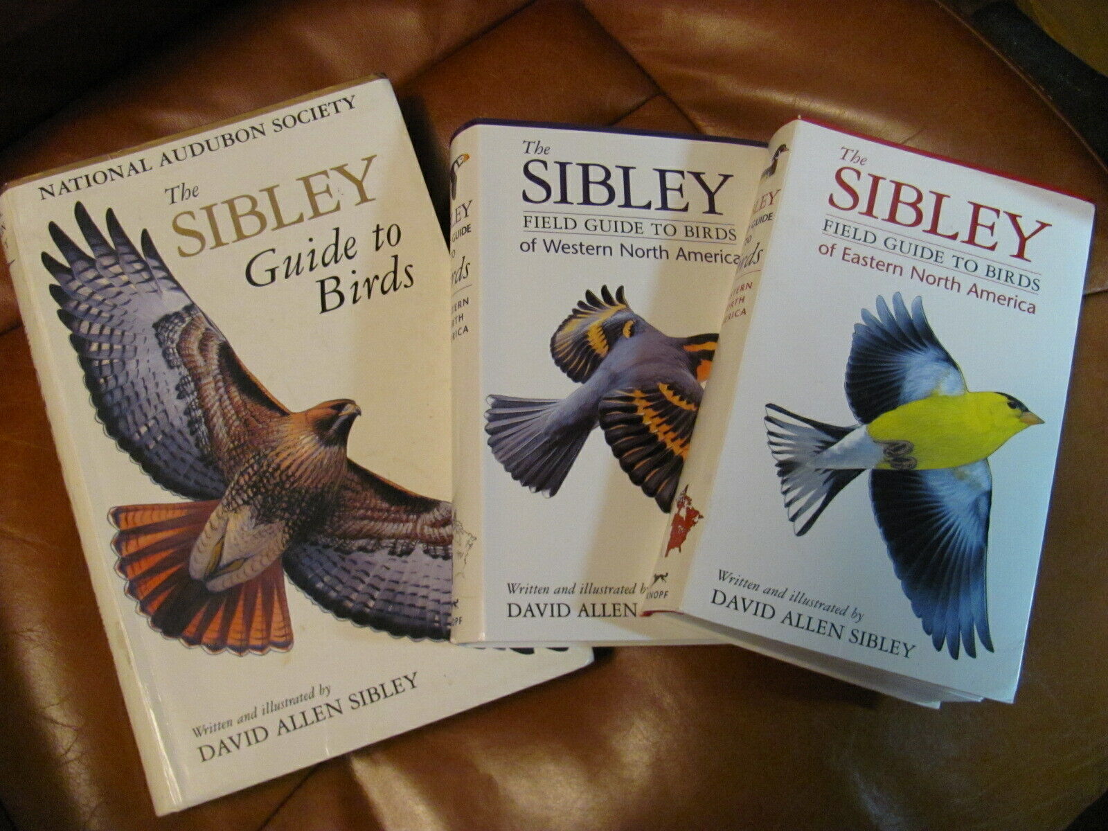 The Sibley Guide to Birds by David Allen Sibley 9780679451228  eBay