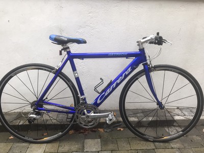 carrera gryphon limited edition