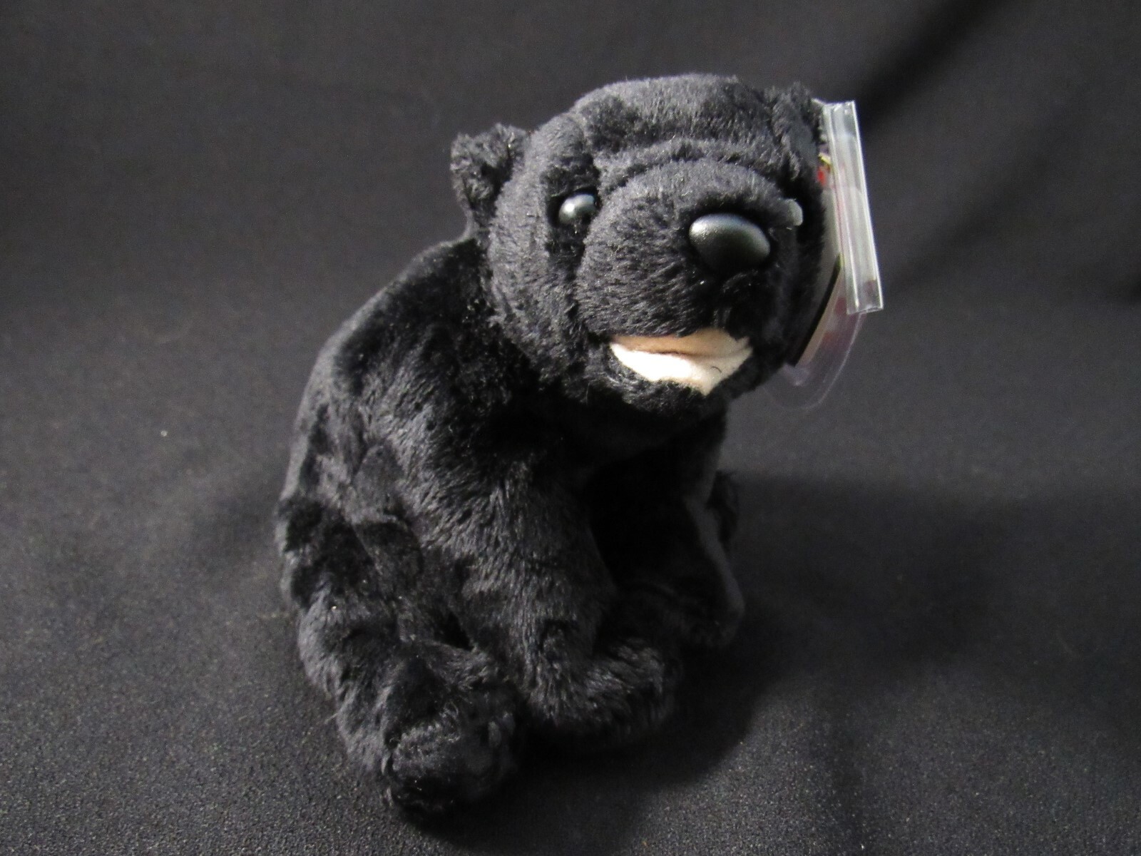 Ganz Webkinz Black Bear W/Sealed Tag Code Apx 7in Plush | eBay