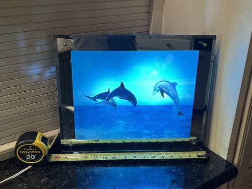 Slow dolphin light box deals