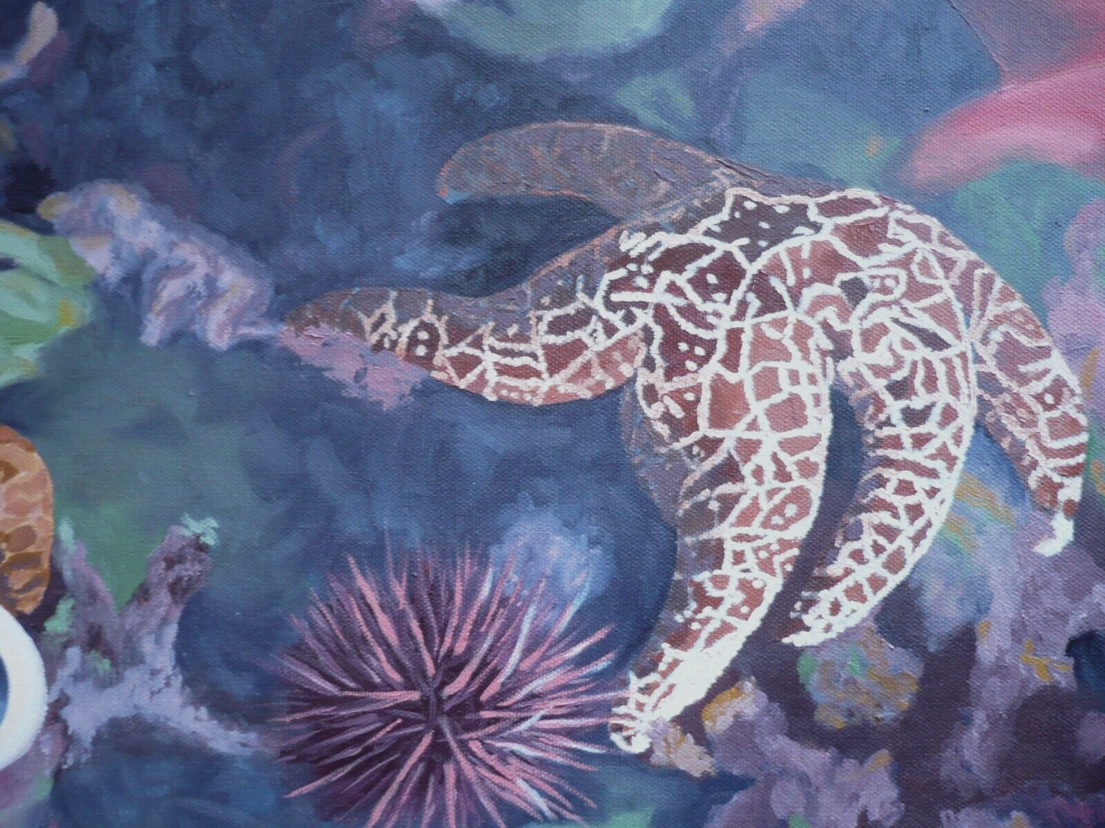 FRANKIE BARNETT, OCEAN INTERIOR REALISM TIDEPOOL STARFISH OCEAN SHELLS ROCKS OIL