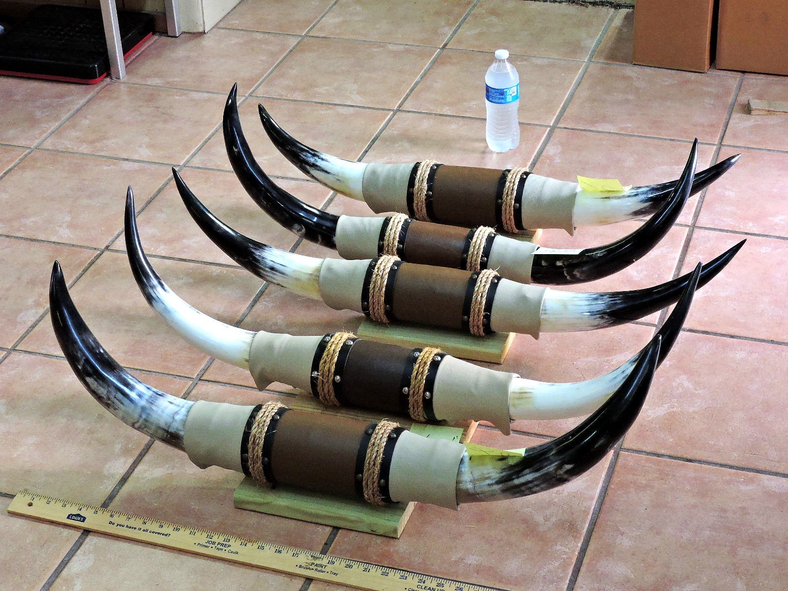 MOUNTED STEER BULL HORNS 2'6"-2'11" TIP TO TIP (1 SET) COW BULL HORNS LONGHORN