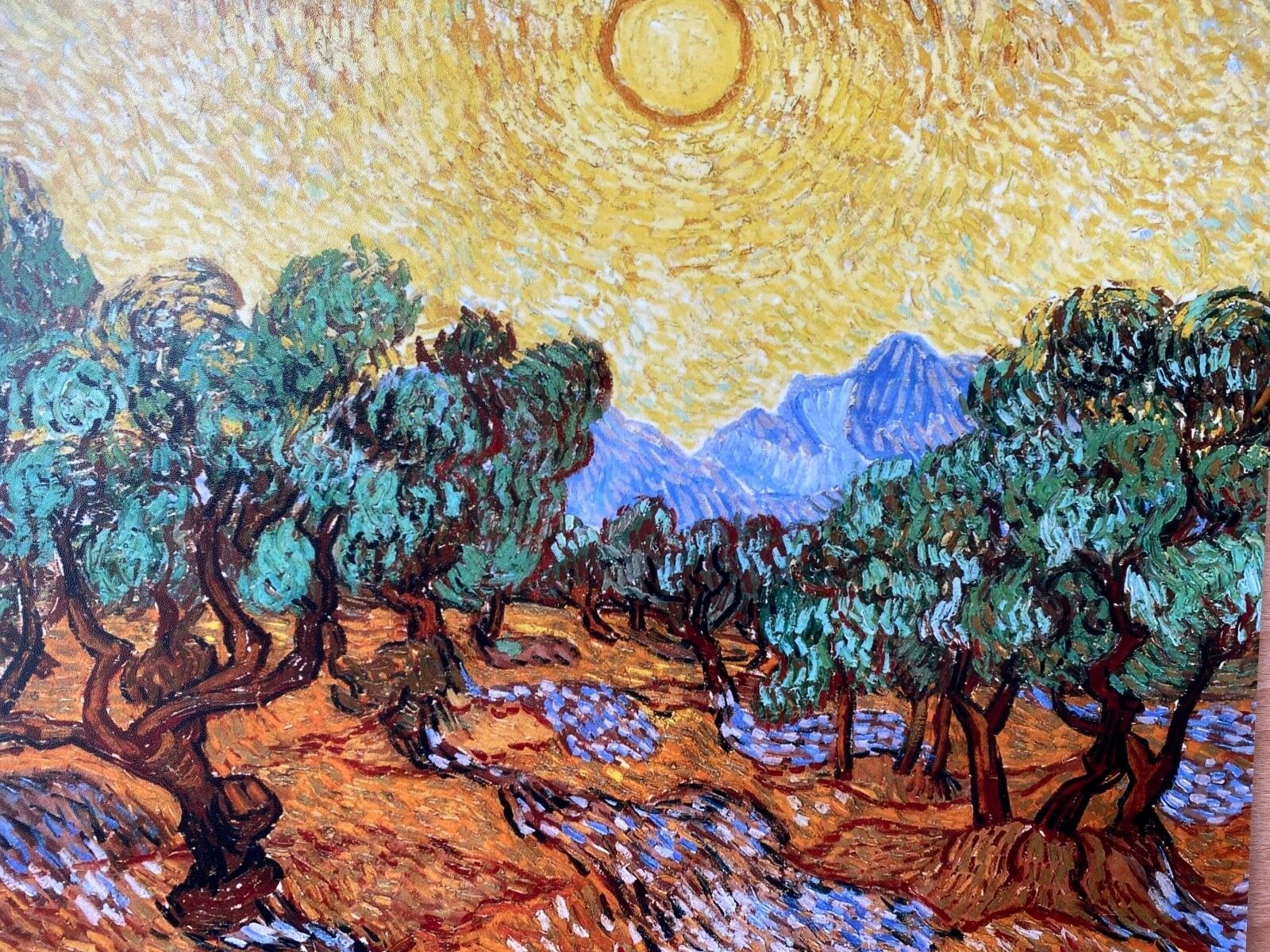 Vincent Van Gogh, Olive Trees With Yellow Sky And Sun, Art
