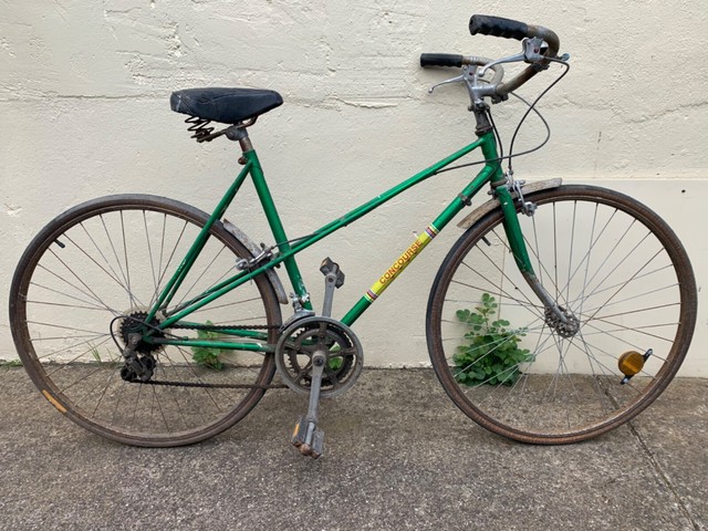 women's magna equator bike