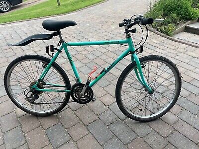 Raleigh lizard mountain outlet bike