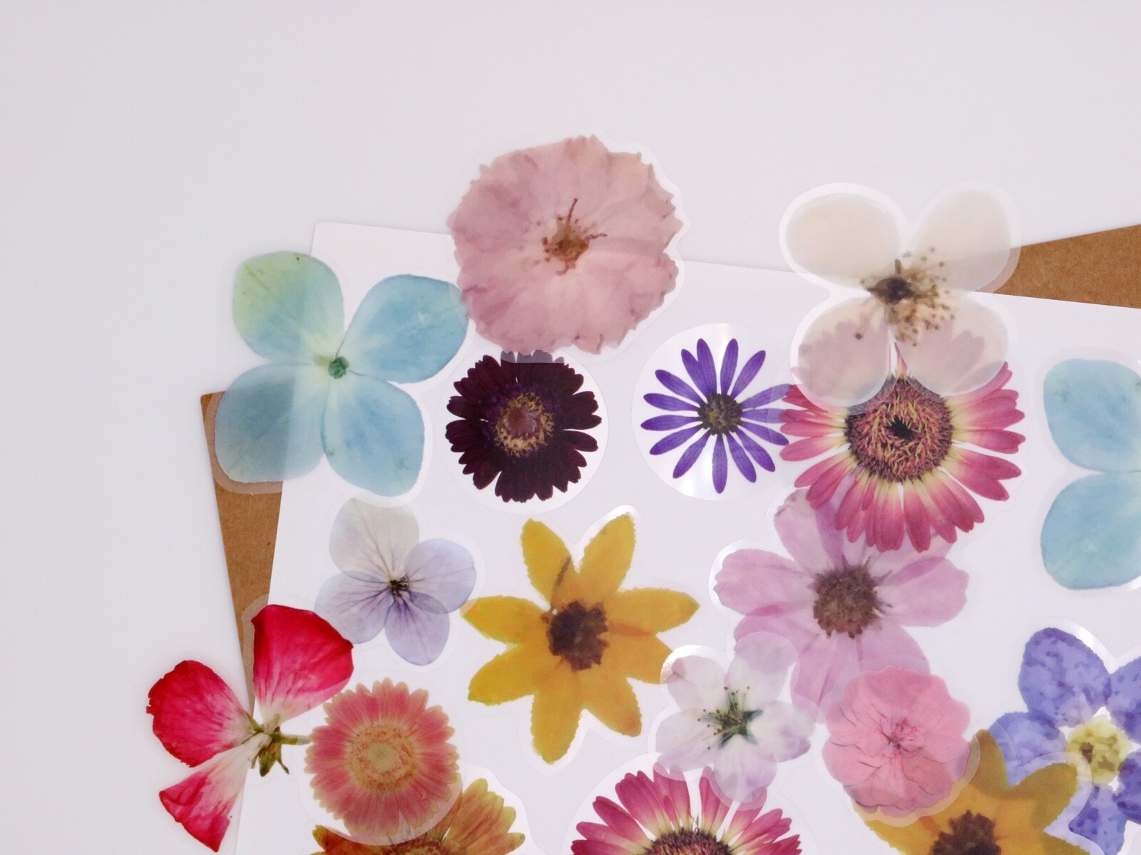 Pet flower stickers | 40pcs/pack flower petal botanical floral Specimen Dried