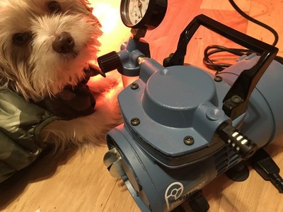 Item photo(s) from verified buyer