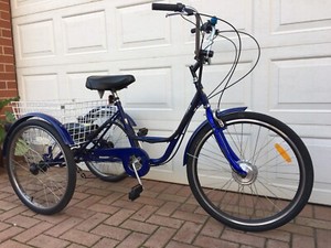 gomier tricycle ebay