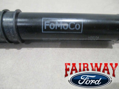 17 thru 24 Ford Super Duty F250 F350 OEM Ford Tailgate Damper Kit -No More SLAM!