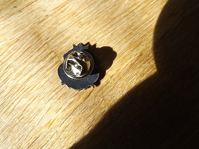 Master Diver Military Lapel Pin. Approx. 5/8