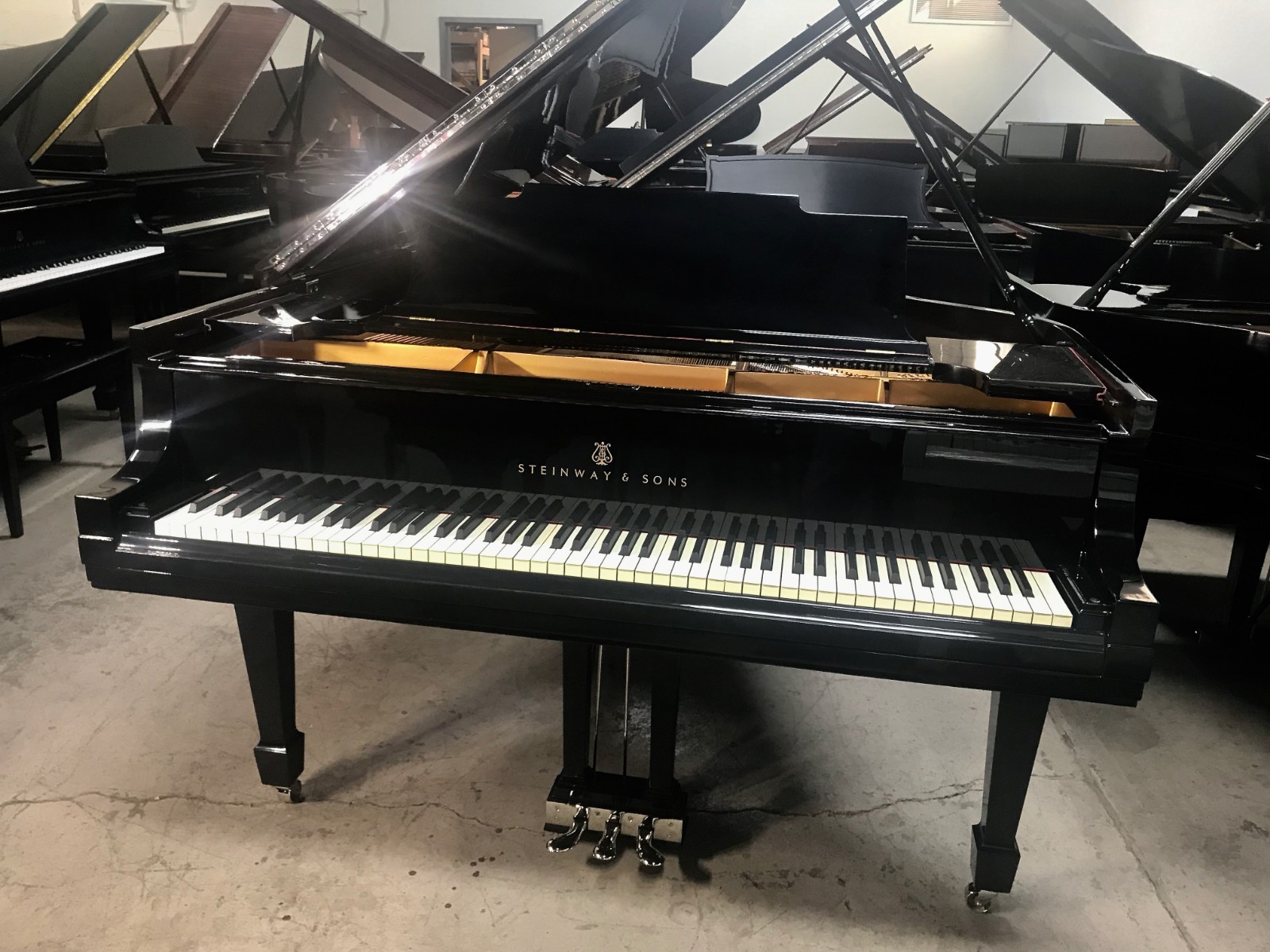 STEINWAY M GRAND PIANO - HIGH GLOSS - VIDEO - FREE SHIPPNG