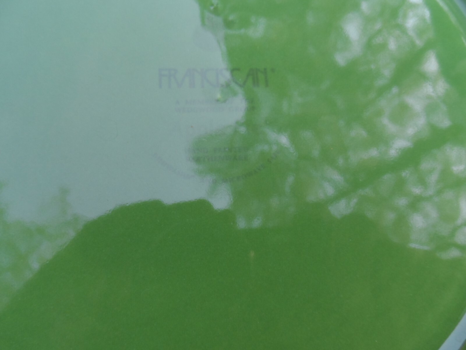 2 Franciscan Wedgewood Apple Pie Granny Smith Dinner Plates