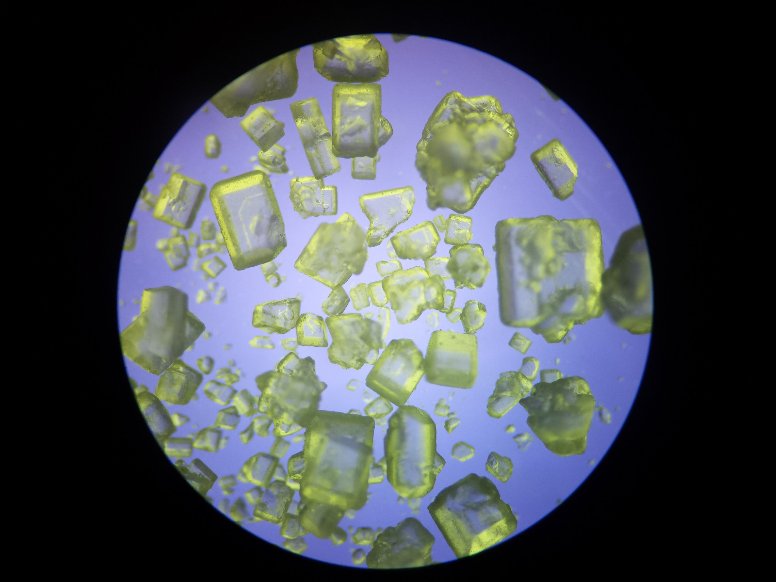 Microscope 32mm Rheinberg Filters Set With Darkfield Lighting - Marvelous Set!!!