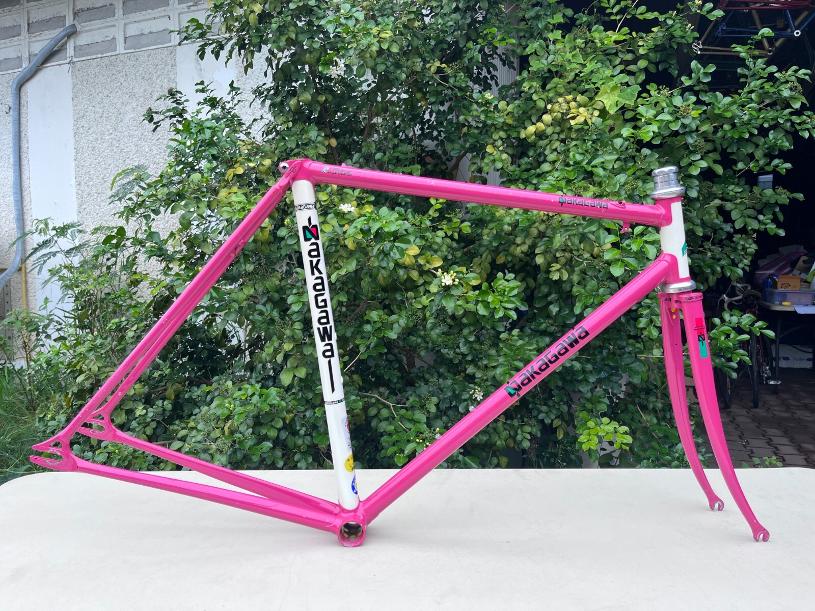 Nakagawa Prominence Track frame / Street style/ Practice Nakagawa Prominence Track frame / Street style/ Practice