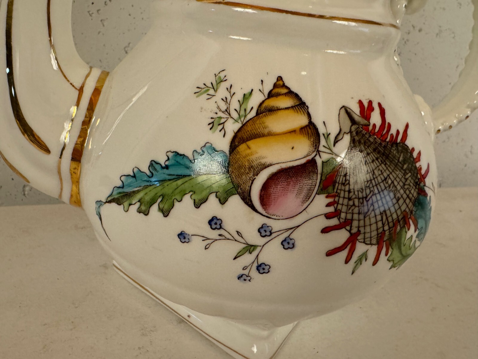 Antique Staffordshire Sampson Bridgwood & Son Nautical Shell Theme Teapot Coffee