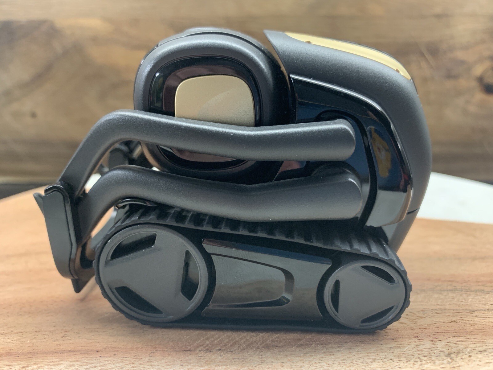 Anki Vector (All You Need Kit!) | Includes WirePod to Host Vector! *READ DESC*