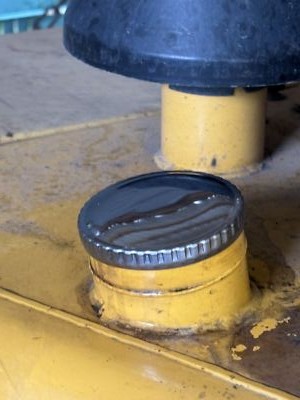 Artikelfoto(s) von einem verifizierten Käufer