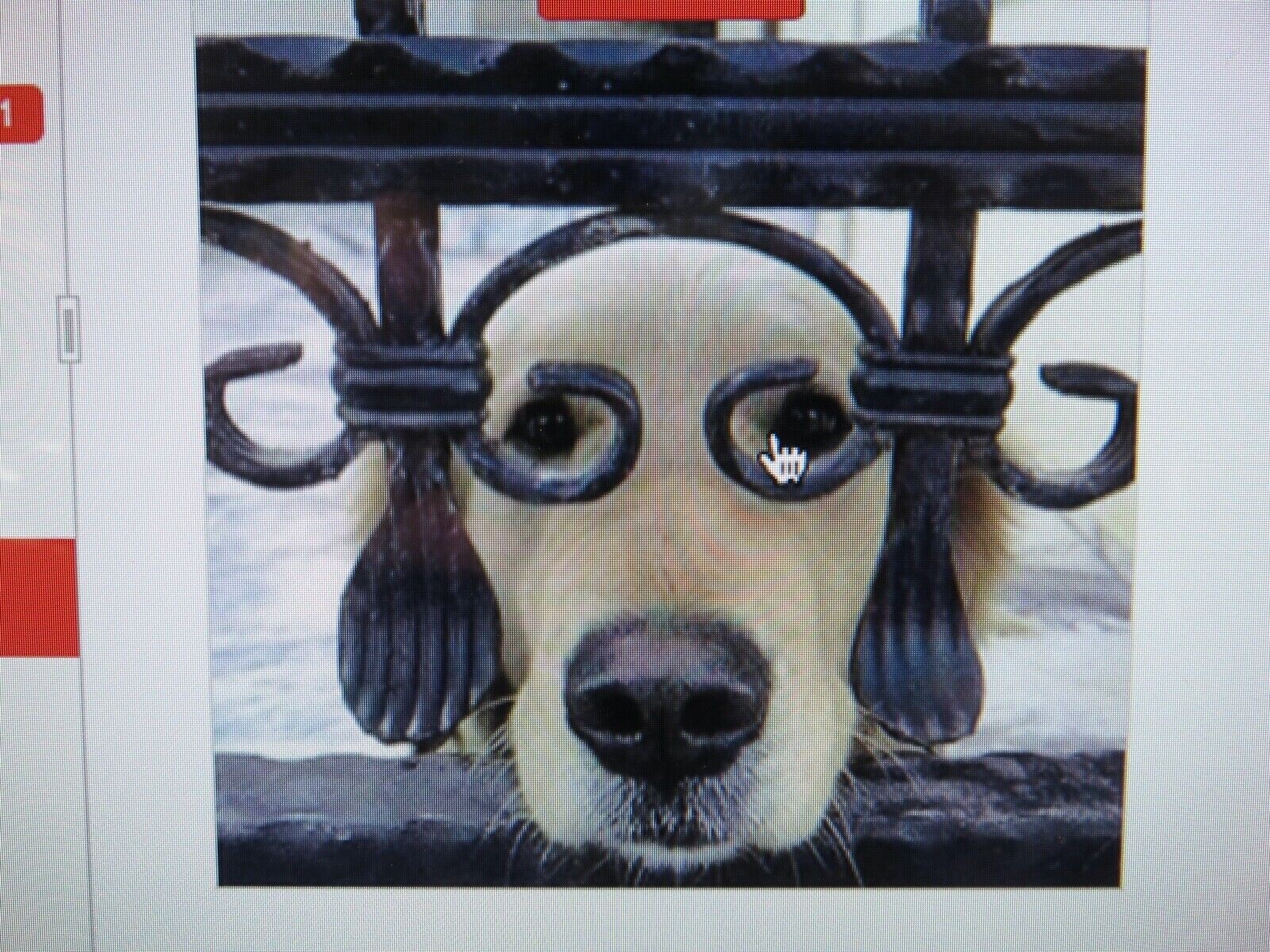 🔥🧯BUCKEYE Water  Fire Extinguisher Gauge 100psi +OR-29 O-ring & Valve Core🔥🧯