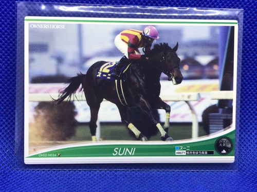 その他 EPOCH HORSE RACING TRADING CARDS Hishi Akebono Official Vintage JRA Horse Racing Card Jockey